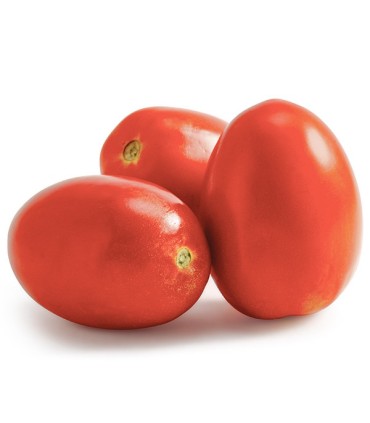 Tomate Pera