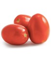 Tomate Pera